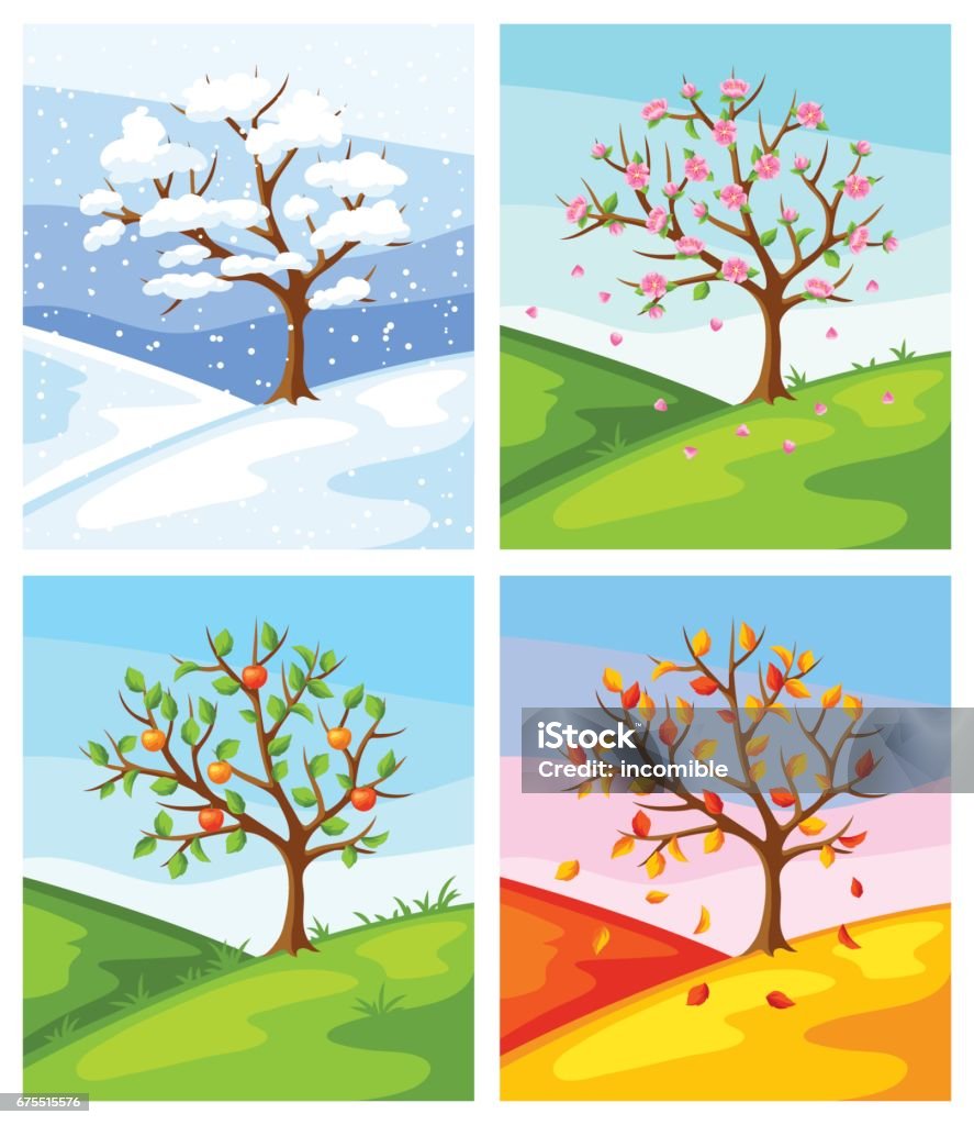 Четыре сезона. Иллюстрация дерева и ландшафта зимой, весной, летом, осенью - Векторная графика Четыре времени года роялти-фри
