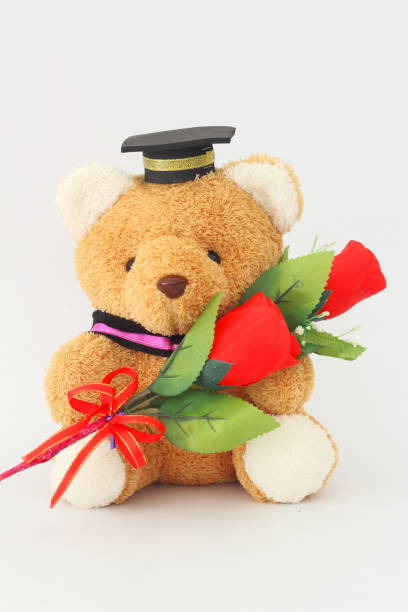 istock Brown bear wearing a graduation cap and red roses on a white background. 675518118