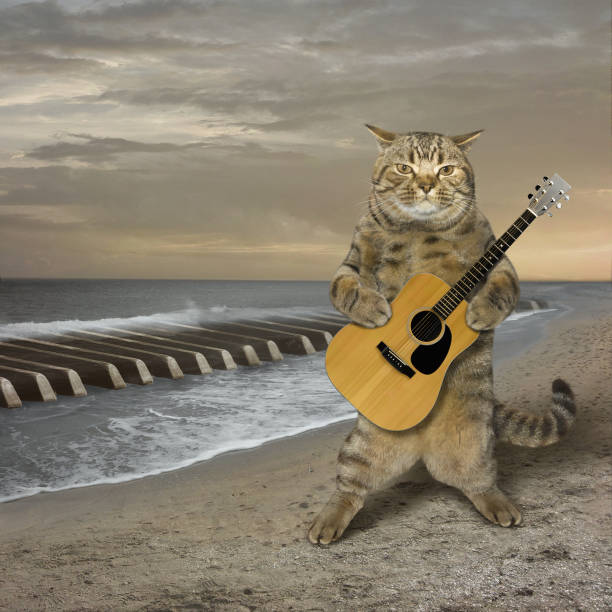 istock Cat with a guitar on a beach 675518226