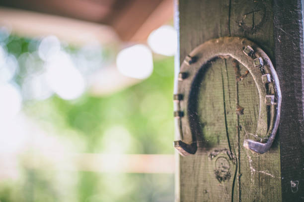 Old rusty horseshoe hanging on a wooden background.