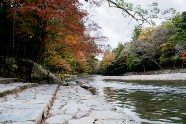 istock Japanese autumn leaves and river 675522392