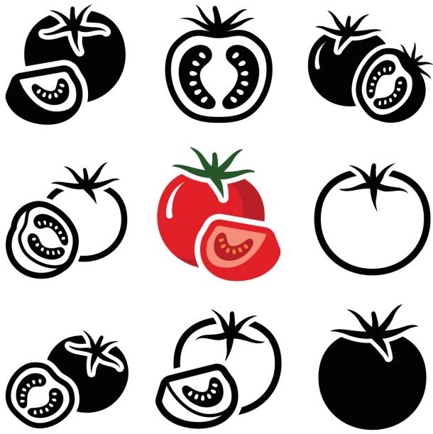 Tomato Tomato vegetable icon collection - vector outline and silhouette tomato stock illustrations