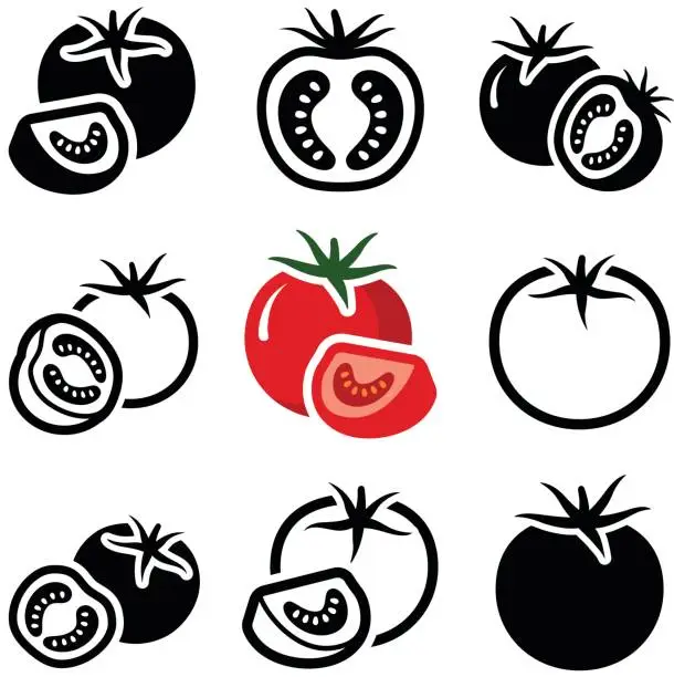 Vector illustration of Tomato