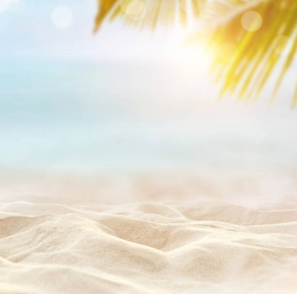 istock sand with blurred sea sky background, summer day 675539536