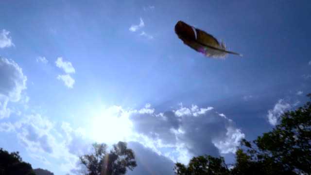 Feather flying in blue sky against sun ray SLOW MOTION.