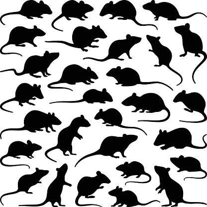 Rat and mouse collection - vector silhouette