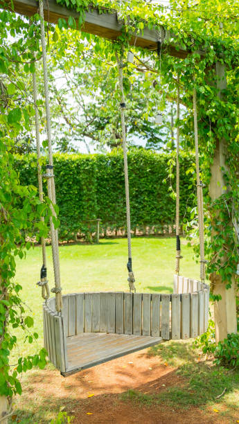 istock Swing hanging on tree, abstract of fun, abstract of relaxation 675544122