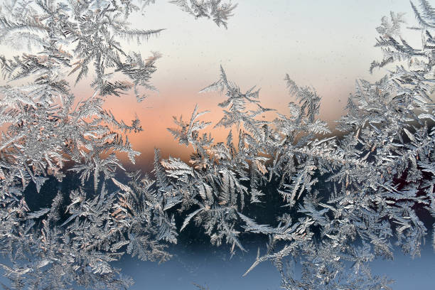 istock frost fern on a window 675546872