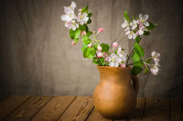 Photo of Branch of a blossoming apple-tree in a clay pitcher