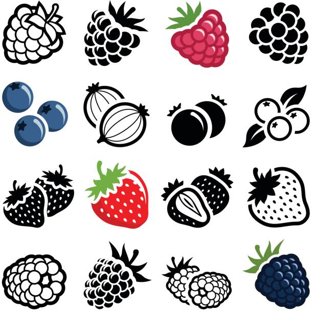 Berry fruit Berry fruit icon collection - vector illustration raspberry stock illustrations