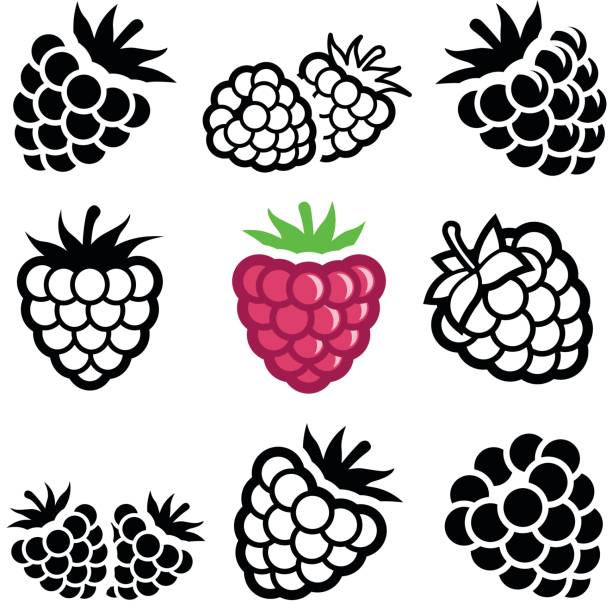 himbeere - raspberry stock-grafiken, -clipart, -cartoons und -symbole