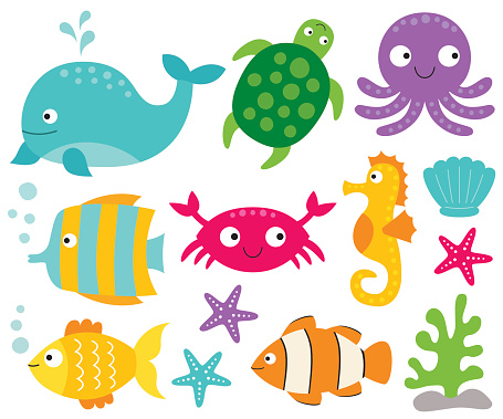 Sea Animals Vector Set Stock Illustration - Download Image Now - Animal,  Animal Wildlife, Aquarium - iStock