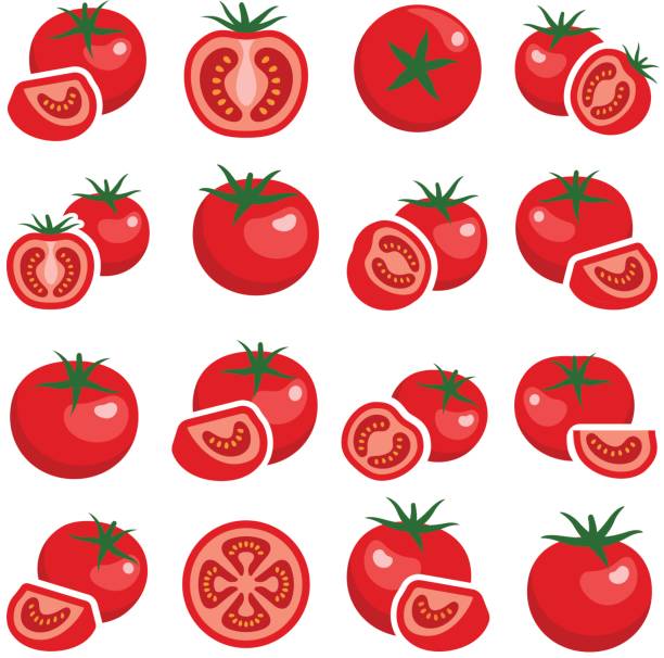 illustrazioni stock, clip art, cartoni animati e icone di tendenza di pomodoro - pomodoro