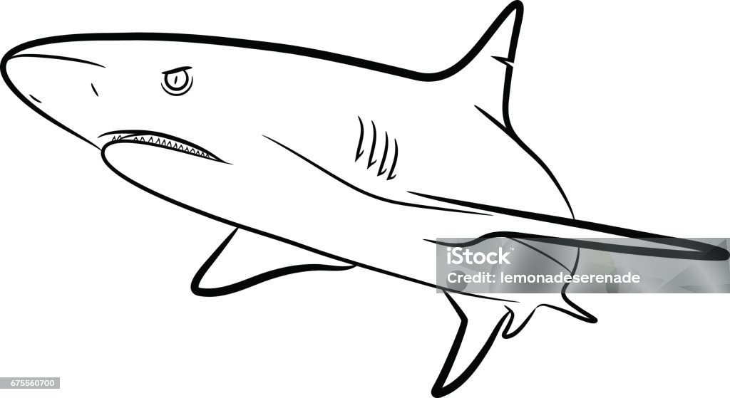 Shark Line Art A hand drawn vector Cartoon Illustration of a shark Bull Shark stock vector