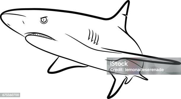 Shark Line Art Stock Illustration - Download Image Now - Bull Shark, Animal, Shark