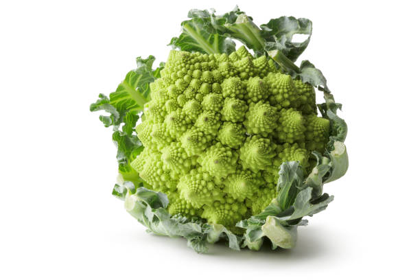 овощи: романеско брокколи изолированы на белом фоне - romanesco broccoli стоковые фото и изображения