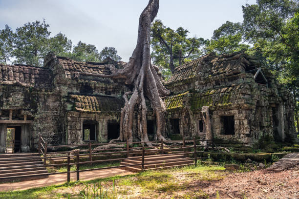 istock Ta Prohm temple with silk cotton tree roots in Angkor, Siem Reap, Cambodia. 675567710