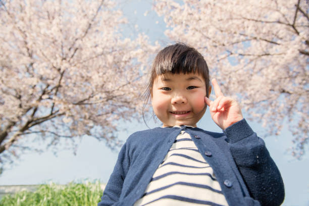 istock Little girl looking at camera with Cherry blossoms 675576710