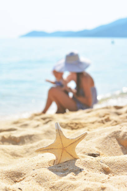 istock Mother and baby on the seaside with starfish 675580010