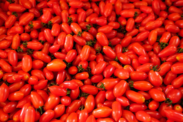 istock Close-up of fresh tomatos 675582580