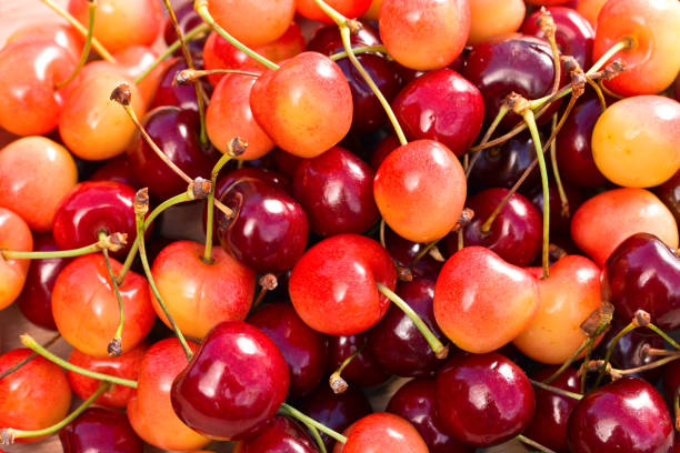 istock Juicy sweet cherries 675582632