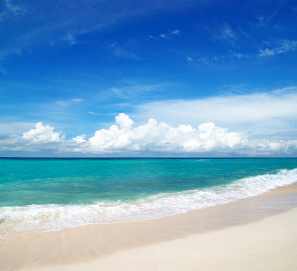 istock beach and tropical sea 675582742