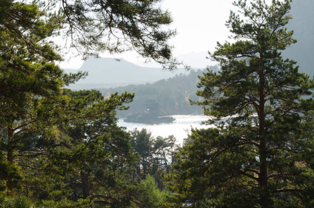 istock Autumn forest on the lake 675583390