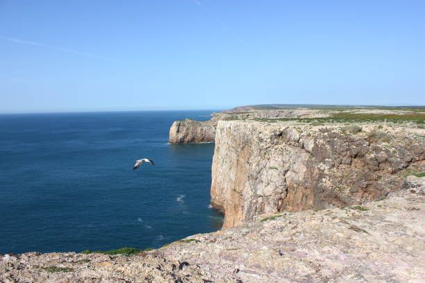 istock Cape sao vicente 675590508