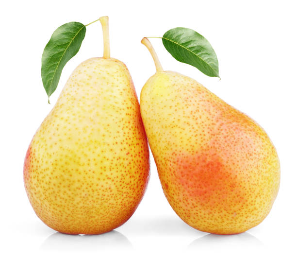 istock Two sweet red yellow pear fruits 675594450