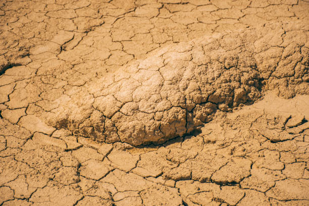 Dry area A very dry terrain in Spain meio ambiente stock pictures, royalty-free photos & images