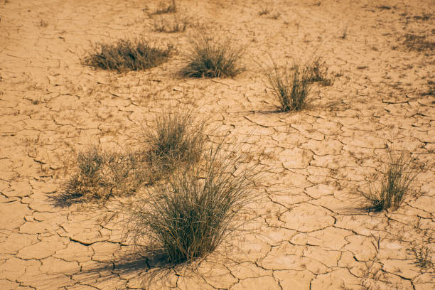 Dry area A very dry terrain in Spain meio ambiente stock pictures, royalty-free photos & images