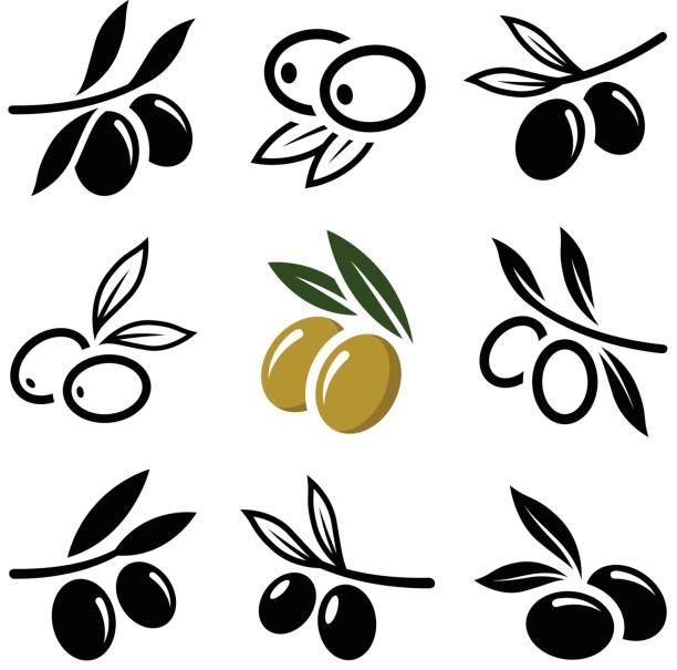 Olive Olive icon collection - vector outline and silhouette olive fruit stock illustrations