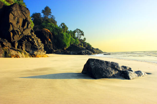 인도 고아에서 해변 - goa beach india green 뉴스 사진 이미지