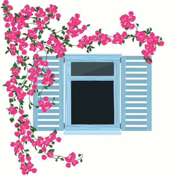 Blue wooden window with beautiful  flowers Blue wooden window with beautiful curly pink flowers greece illustrations stock illustrations