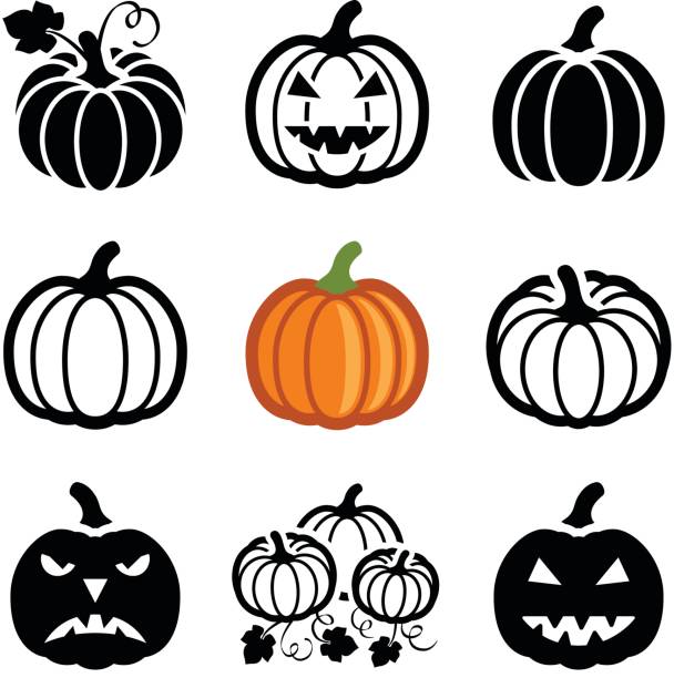 тыква - pumpkin stock illustrations