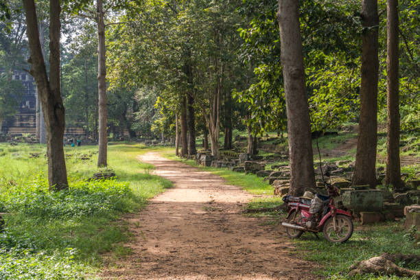 bike in the junge, cambodia - junge imagens e fotografias de stock