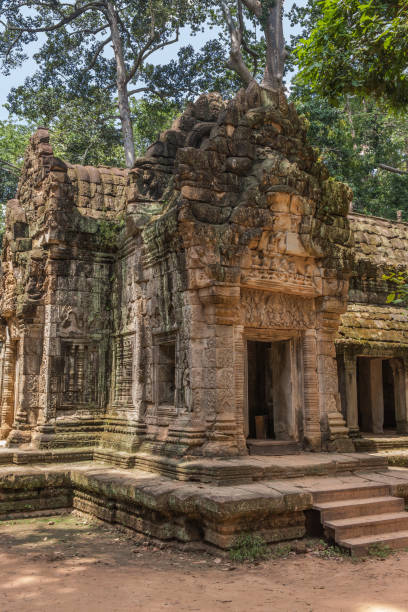 istock Ta Prohm temple in Angkor, Siem Reap, Cambodia. 675603376
