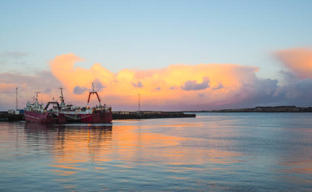istock Cargo ships, cargo vessels, unloading container at the port, clear golden sky and blue ocean background. 675610026
