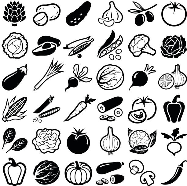 야채 - onion vegetable leaf spice stock illustrations