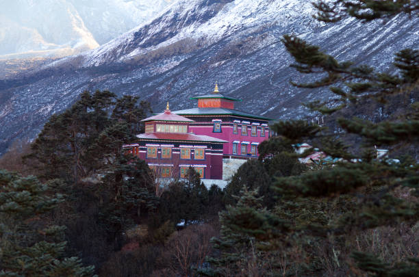 berömda tengboche buddhist monastery i sagarmatha nationalpark, nepal - losar bildbanksfoton och bilder