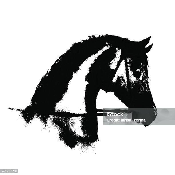 Black Ink Horse Head Silhouette With Equestrian Sport Bridle On White Stock Illustration - Download Image Now