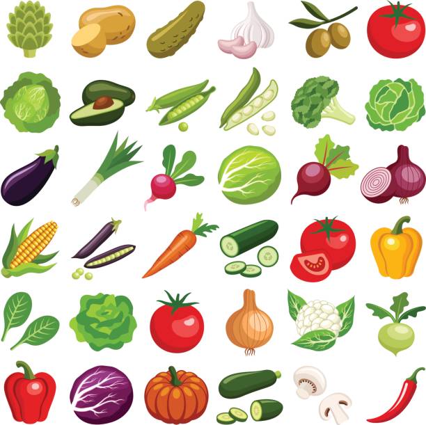 Vegetable Vegetable icon collection - vector color illustration avocado stock illustrations