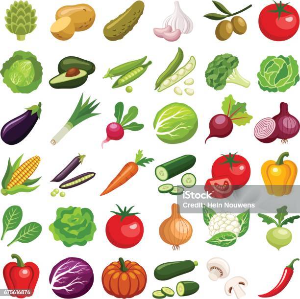 Vegetable Stock Illustration - Download Image Now - Vegetable, Vector, Illustration