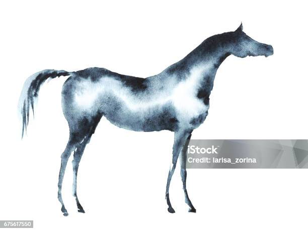 Arabian Horse Stock Illustration - Download Image Now - Horse, Animal, Arabia
