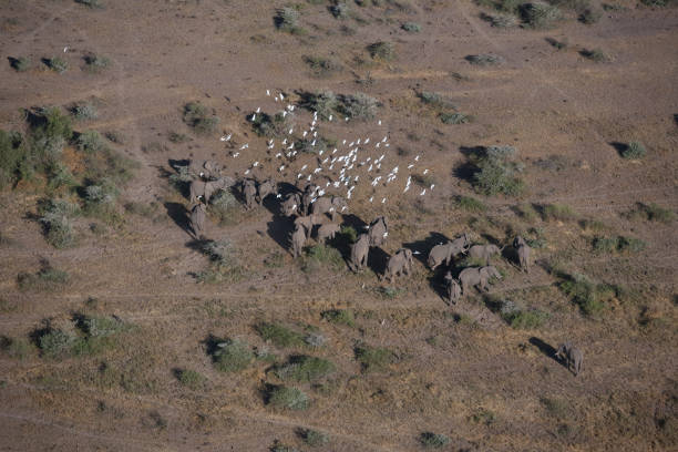 istock Kenya from the air 675626506