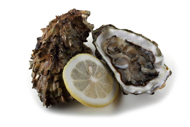 istock Oyster, opened oyster and lemon slice 675629742