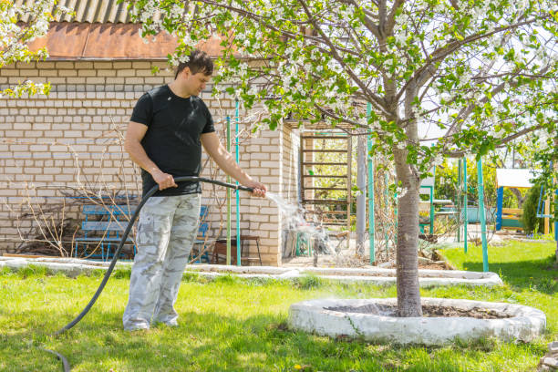 istock Man watering the fruit trees with a hose on a country site 675629800