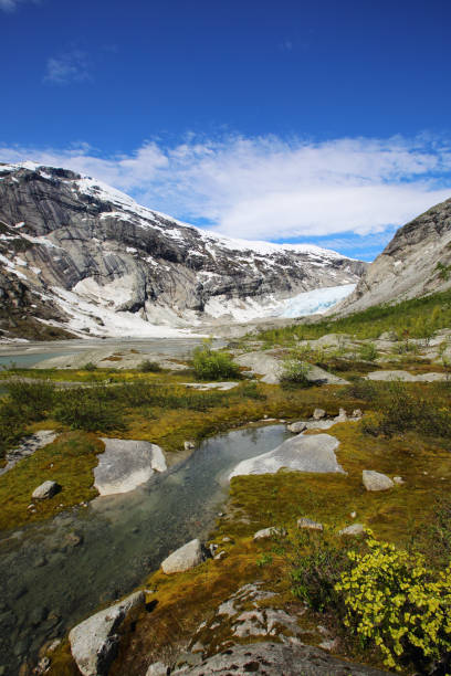 istock Nigardsbreen Glacier in Norway 675630500