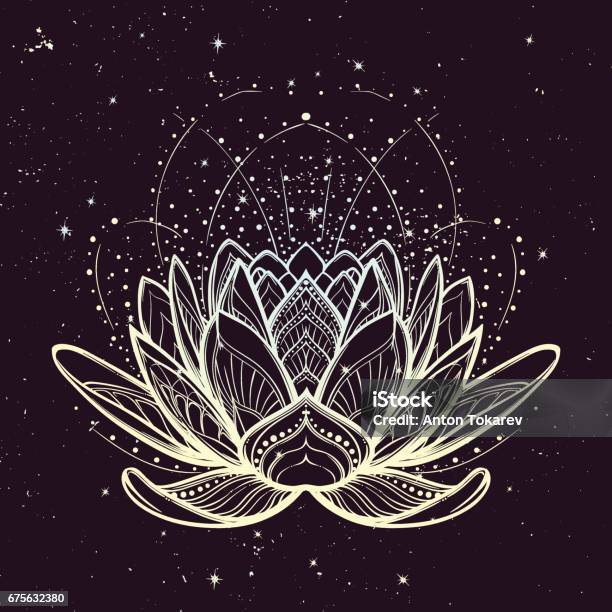 Lotus Flower Intricate Stylized Linear Drawing On Starry Nignt Sky Background Stock Illustration - Download Image Now