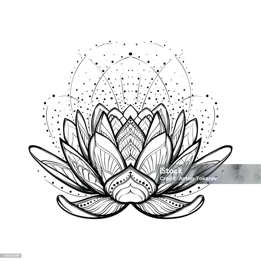 Lotus-Blume. Komplizierte stilisierte lineare Zeichnung isoliert auf weißem Hintergrund. - Lizenzfrei Lotus - Seerose Vektorgrafik